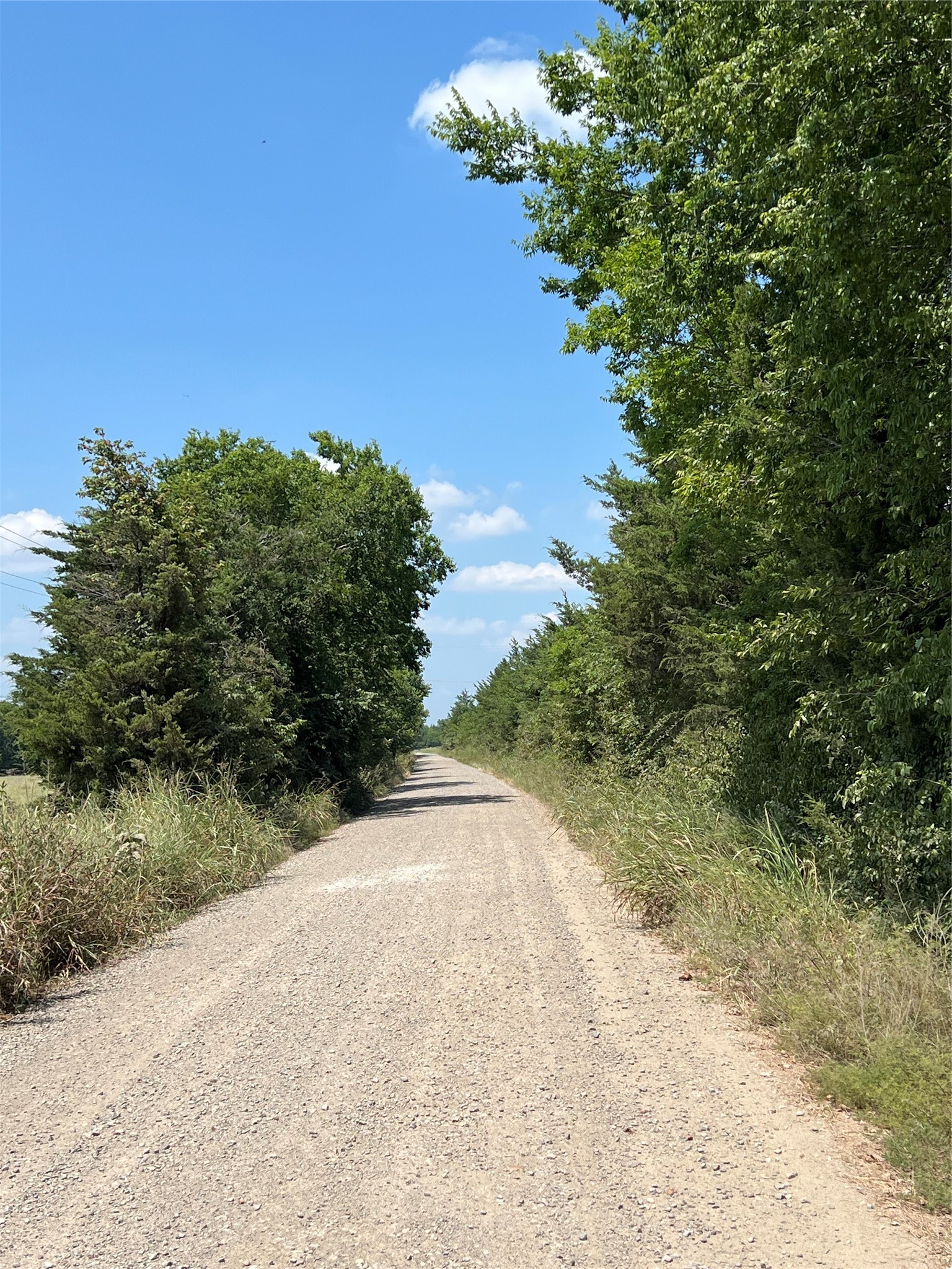 4784 County Road 12650 Paris TX 75462