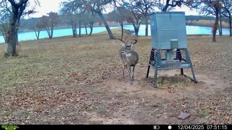 380 Pr 297 Bowie TX 76230