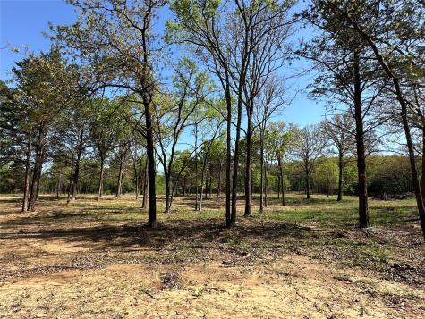 Tbd Lot 3 Cr-147 Gainesville TX 76240