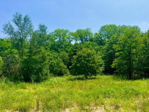 Lot 47 Antrim Court Poolville TX 76487