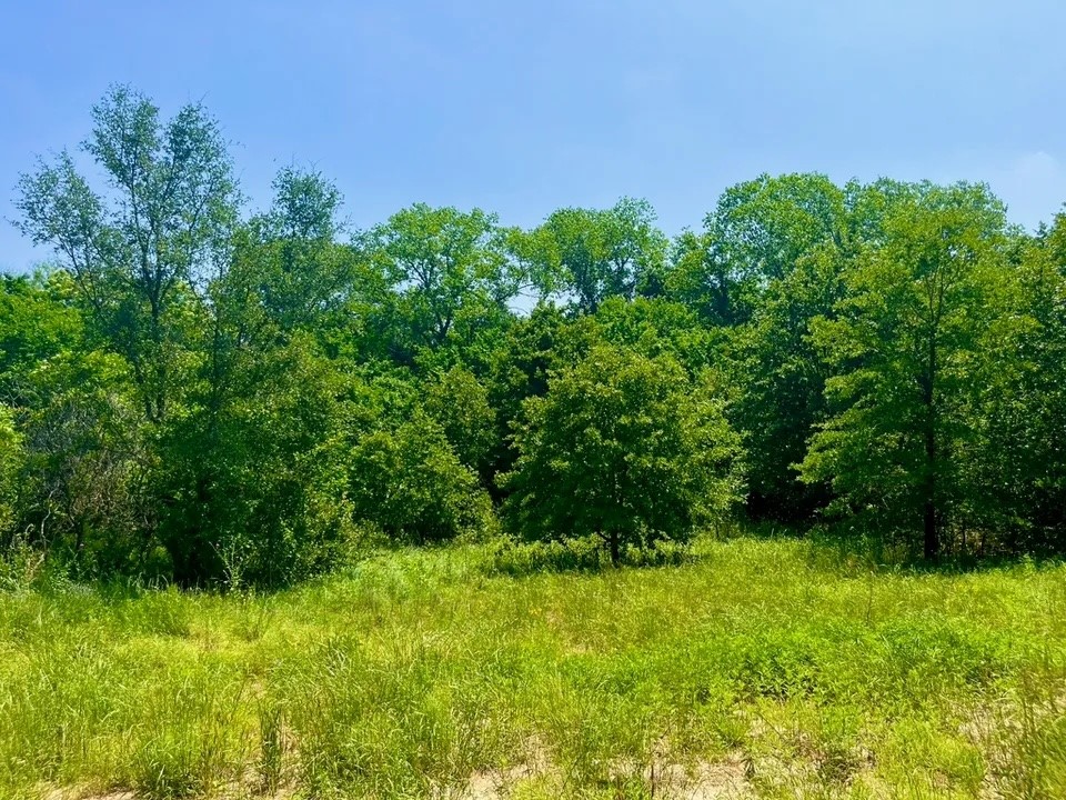 Lot 47 Antrim Court Poolville TX 76487