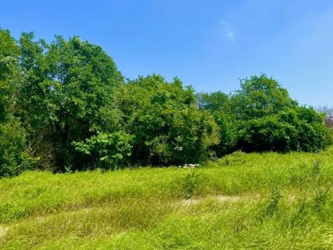 Lot 47 Antrim Court Poolville TX 76487