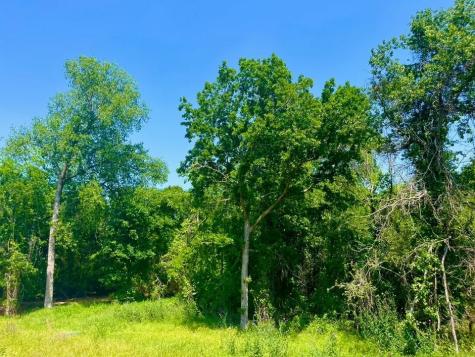 Lot 47 Antrim Court Poolville TX 76487