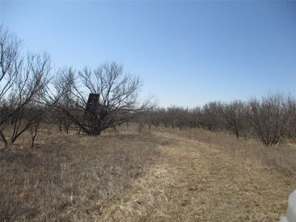 Lot 5 Old Joy Shannon Bluegrove TX 76352