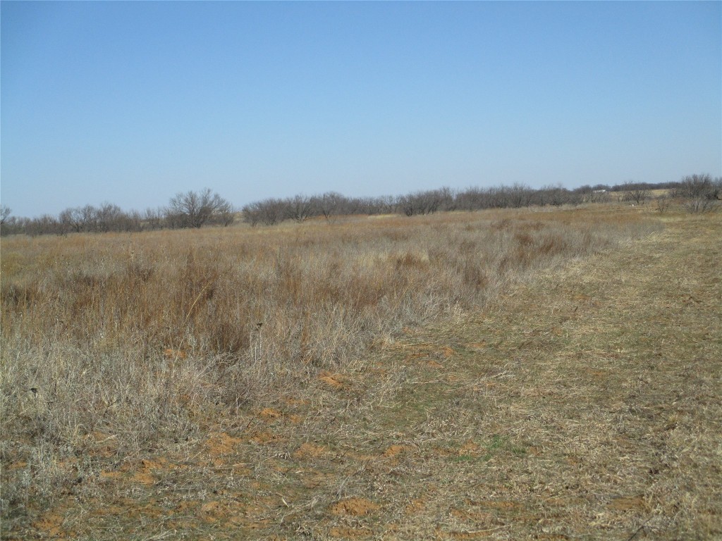 Lot 5 Old Joy Shannon Bluegrove TX 76352