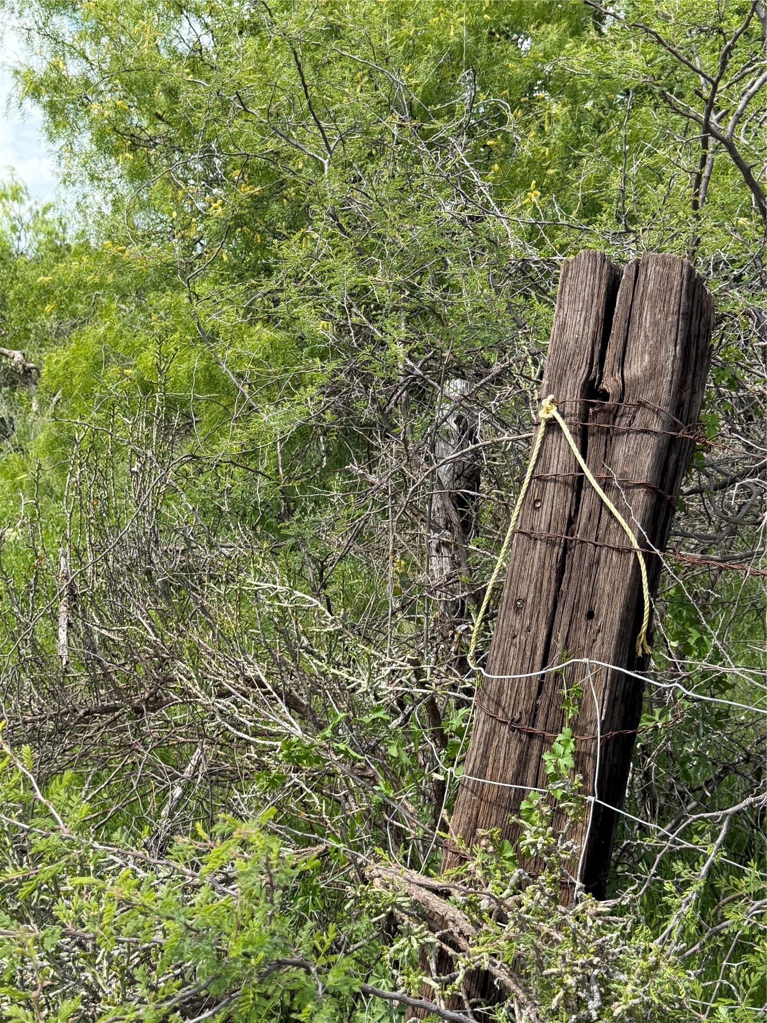 000 County Road 149 Brownwood TX 76801