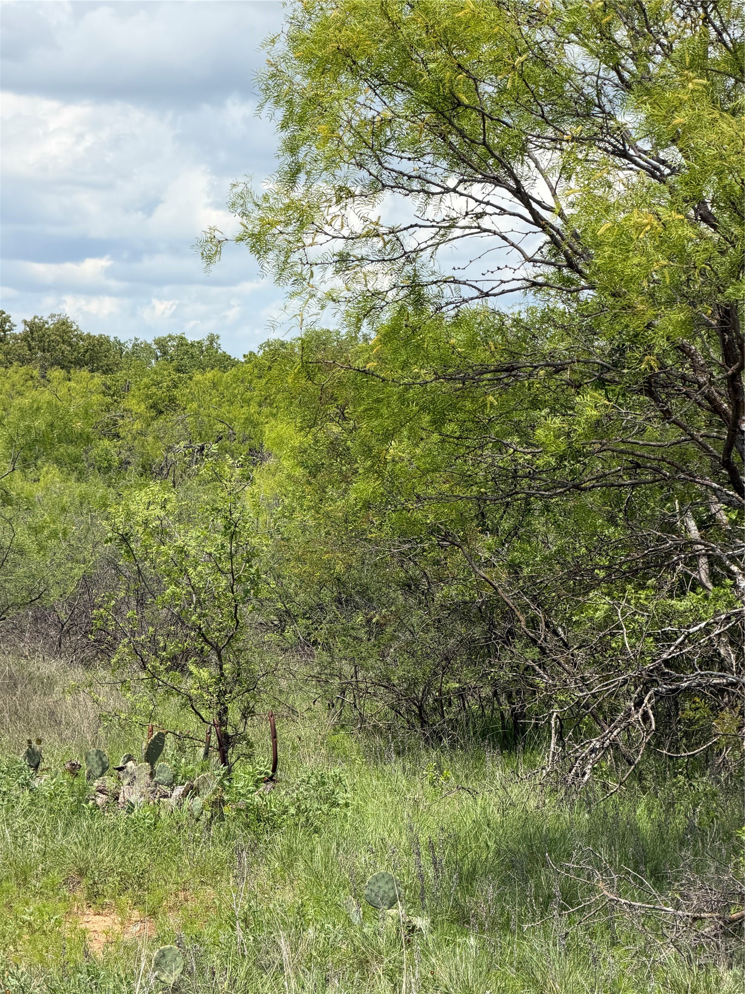 000 County Road 149 Brownwood TX 76801
