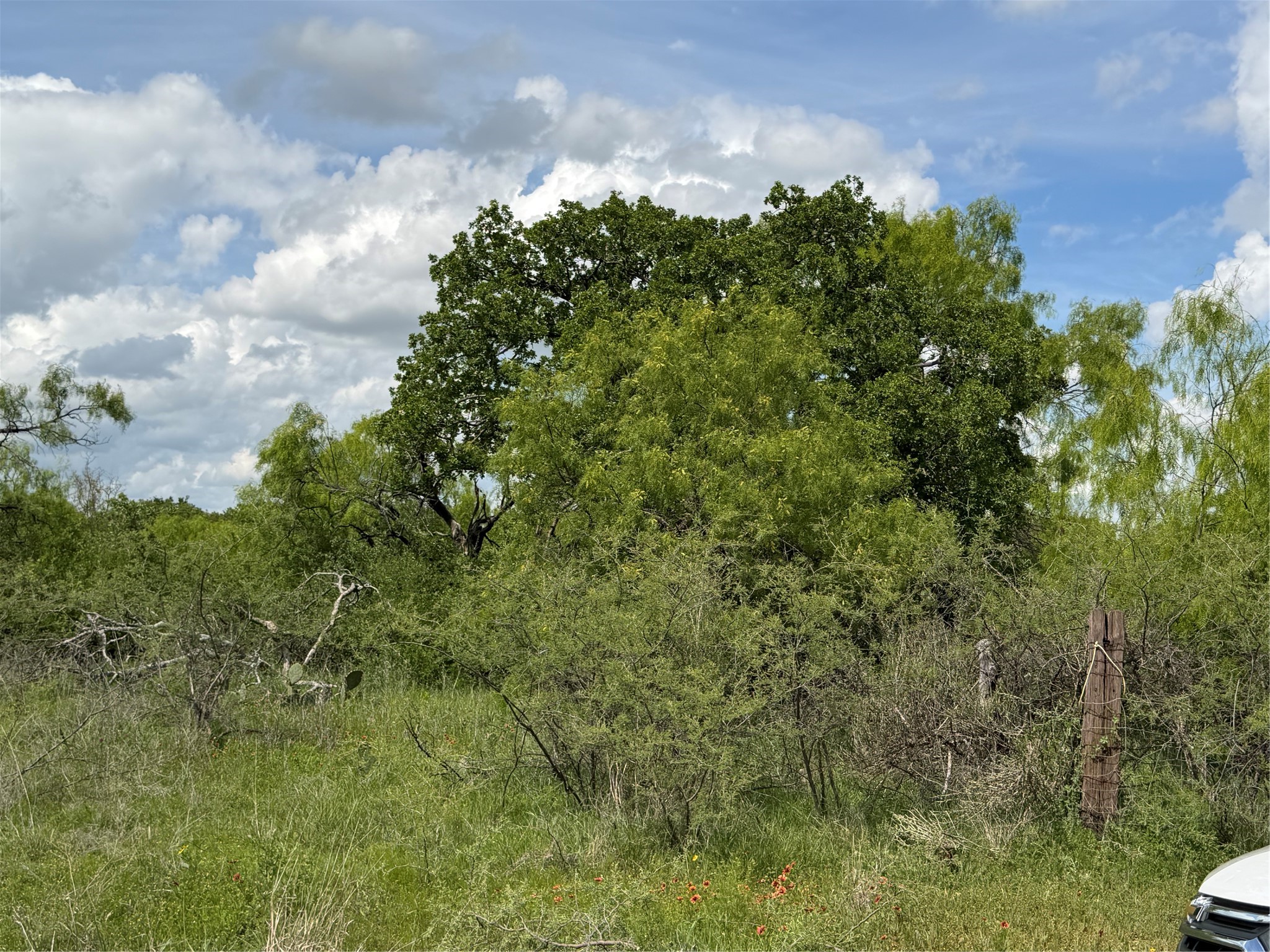 000 County Road 149 Brownwood TX 76801