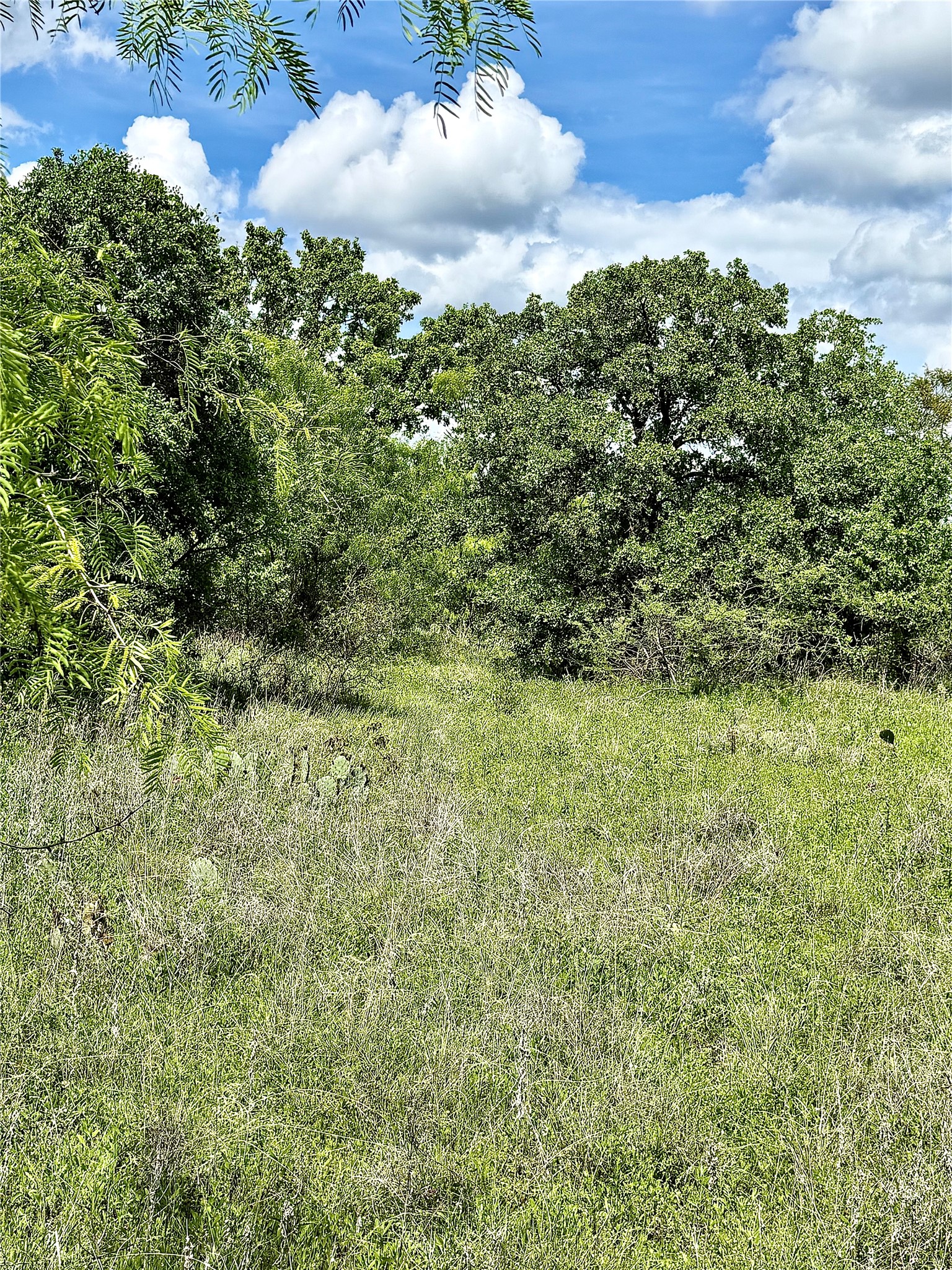 000 County Road 149 Brownwood TX 76801