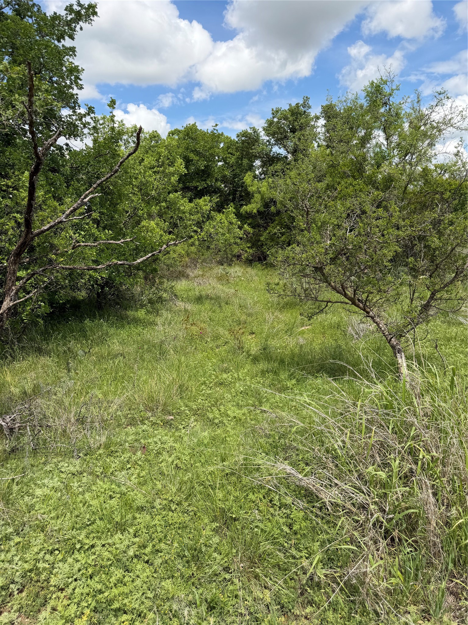 000 County Road 149 Brownwood TX 76801