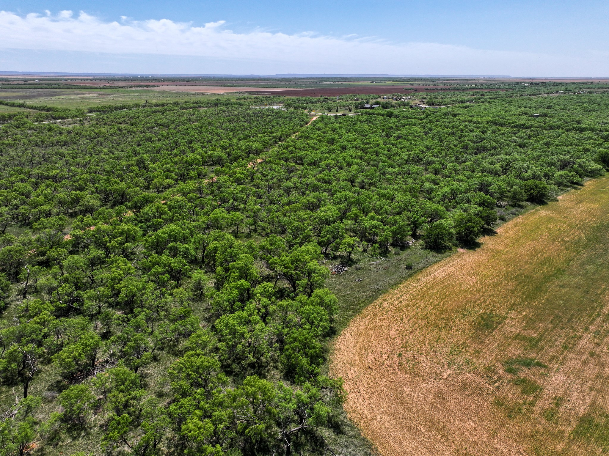 Tbd Tract 4 Fm 3116 Hawley TX 79525