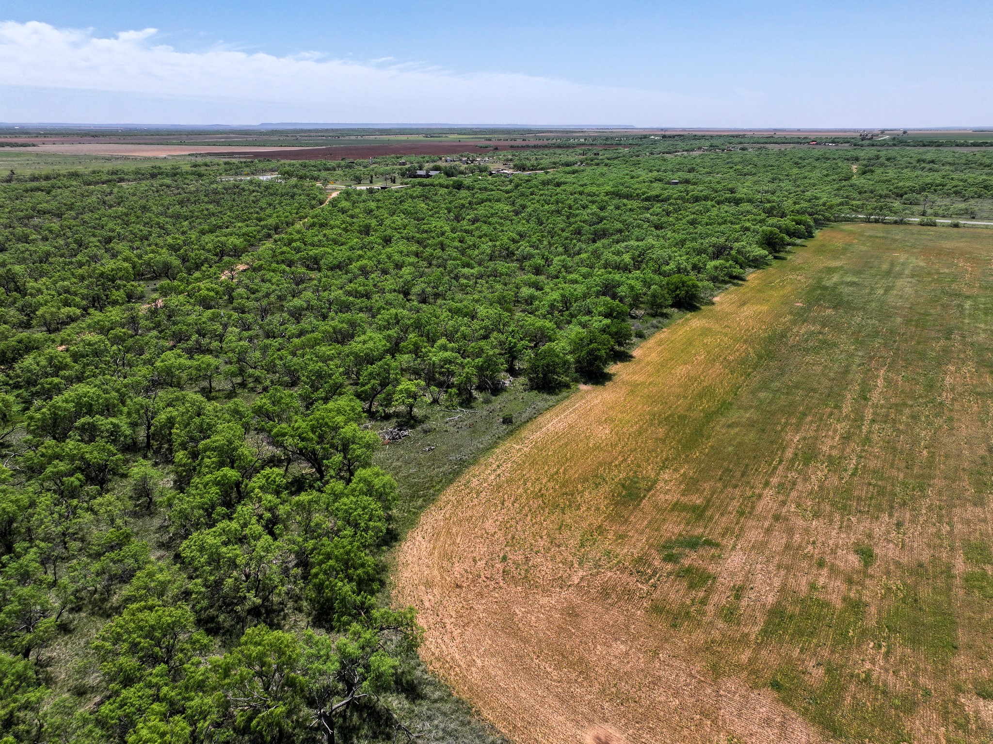 Tbd Tract 4 Fm 3116 Hawley TX 79525