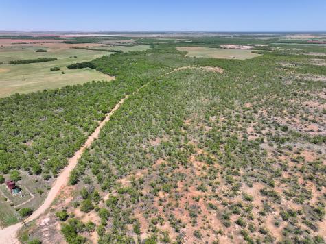 TBD Tract 4 Fm 3116 Hawley TX 79525
