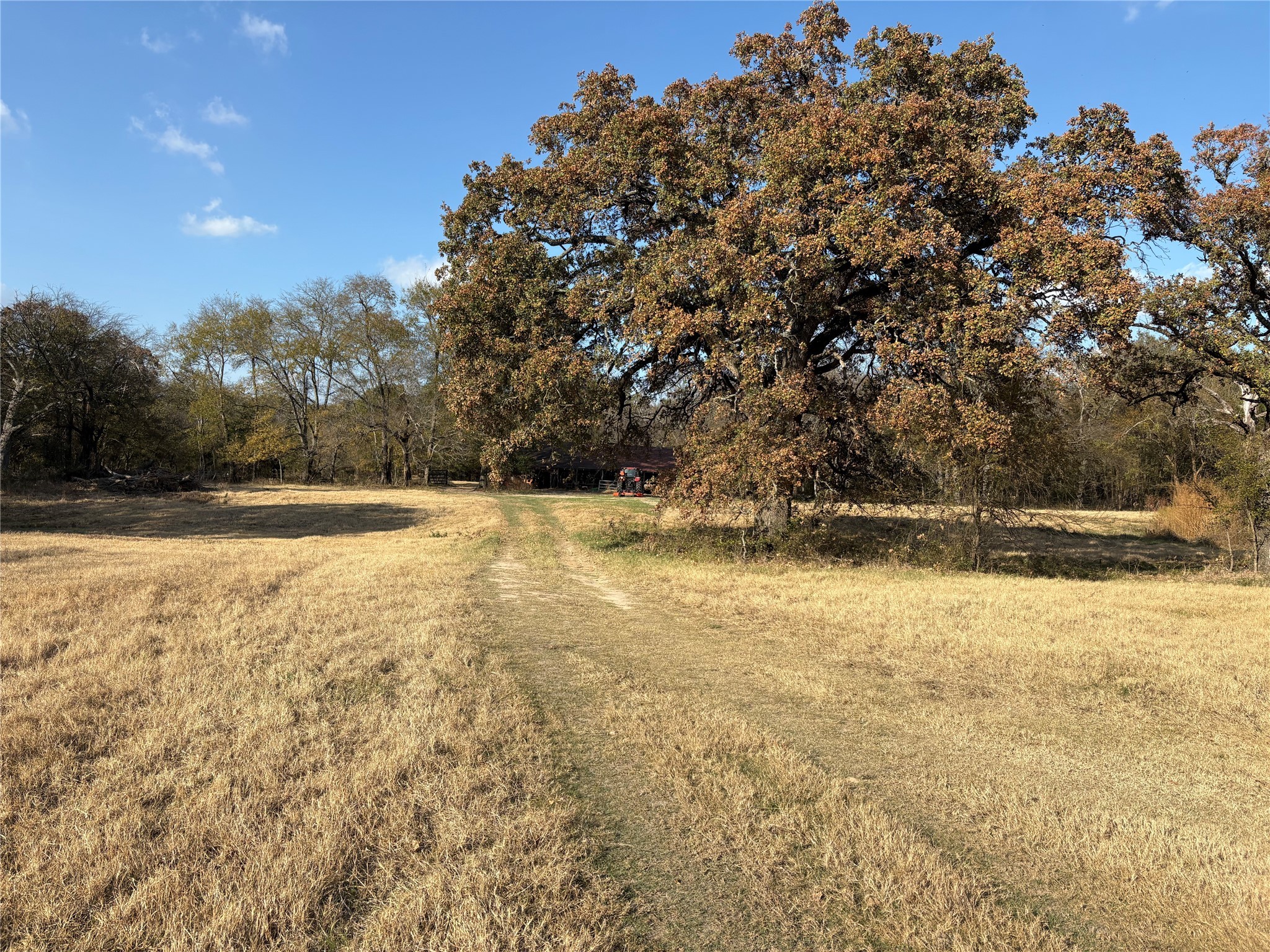 1207 State Highway 24 Campbell TX 75422