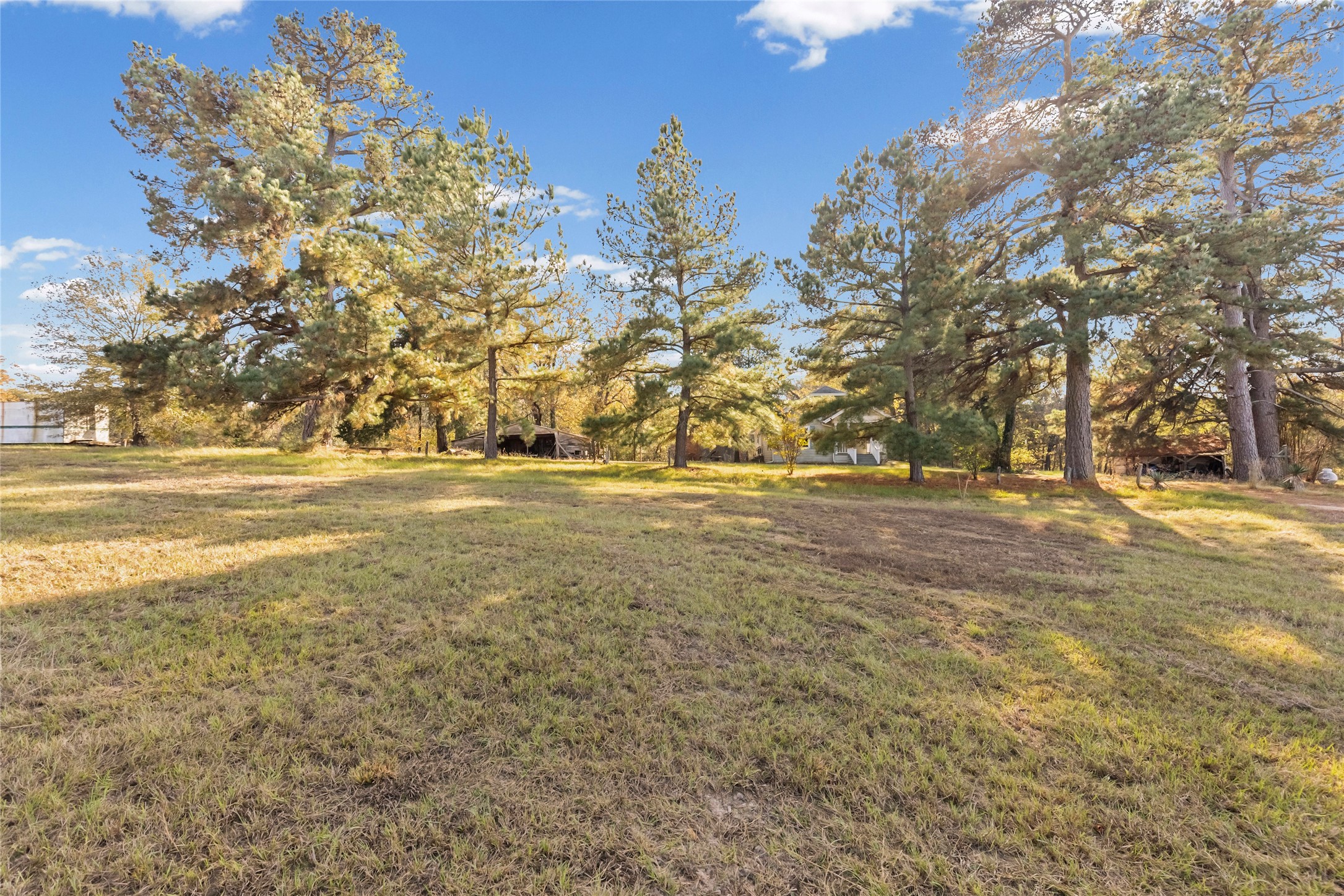 1207 State Highway 24 Campbell TX 75422