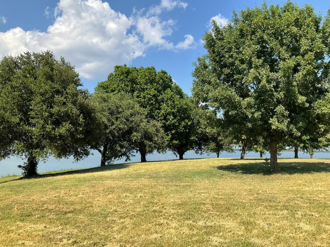 2 Acres +/- SE County Road 3186 Corsicana TX 75109