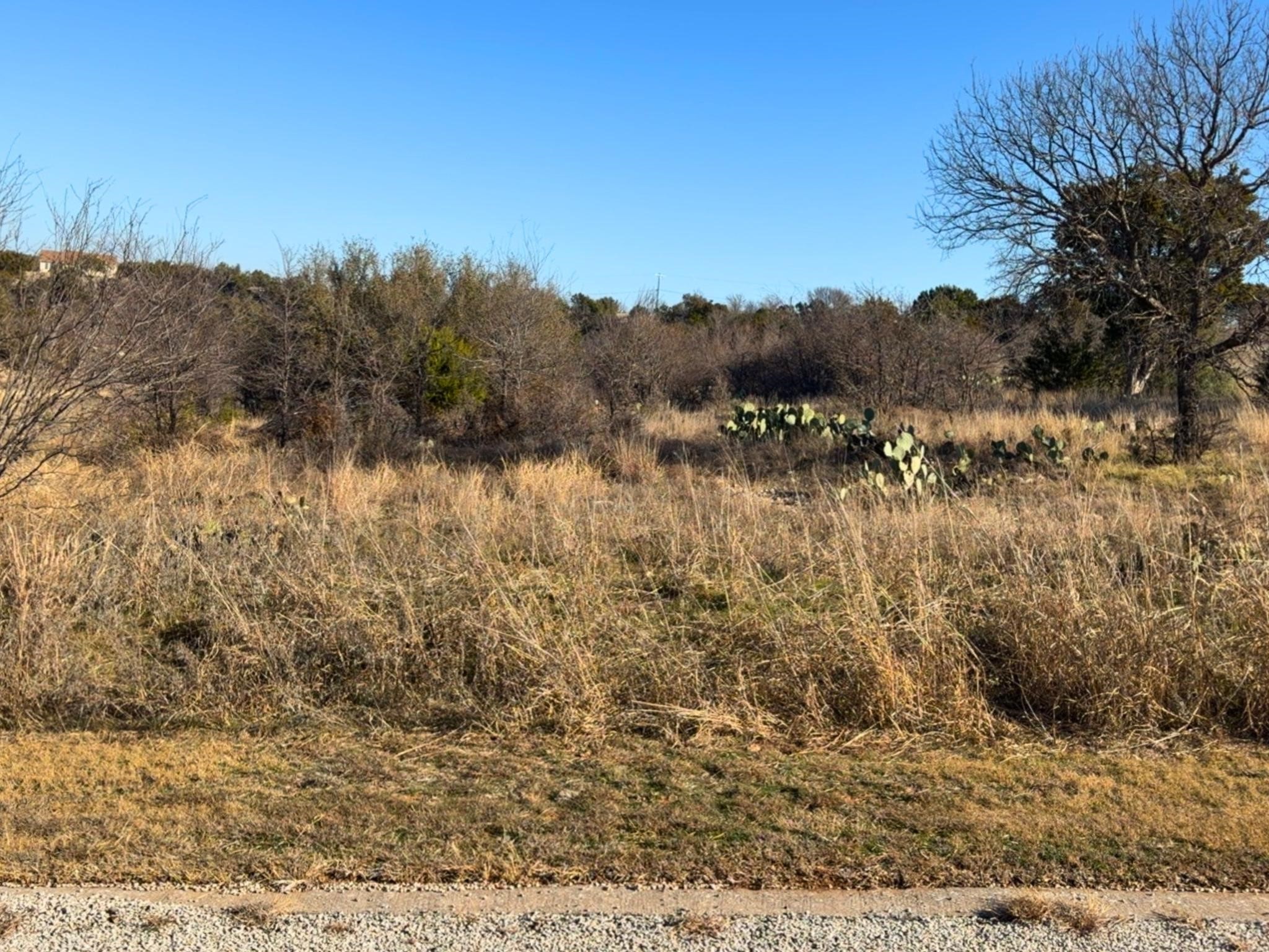 Lot 160 Balleycastle Drive Graford TX 76449