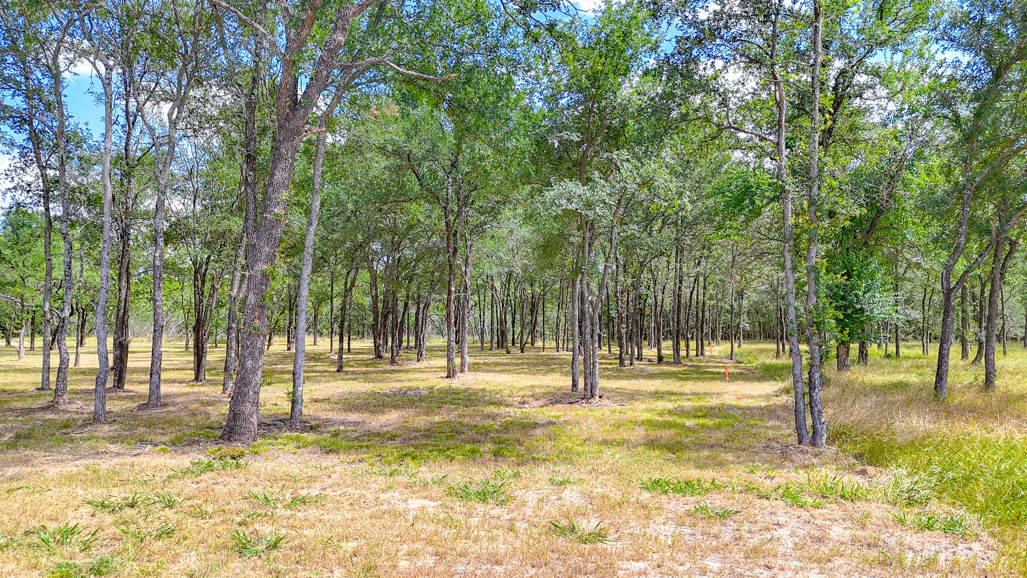 Lot 47 Little Pin Oak Way Richland TX 76681