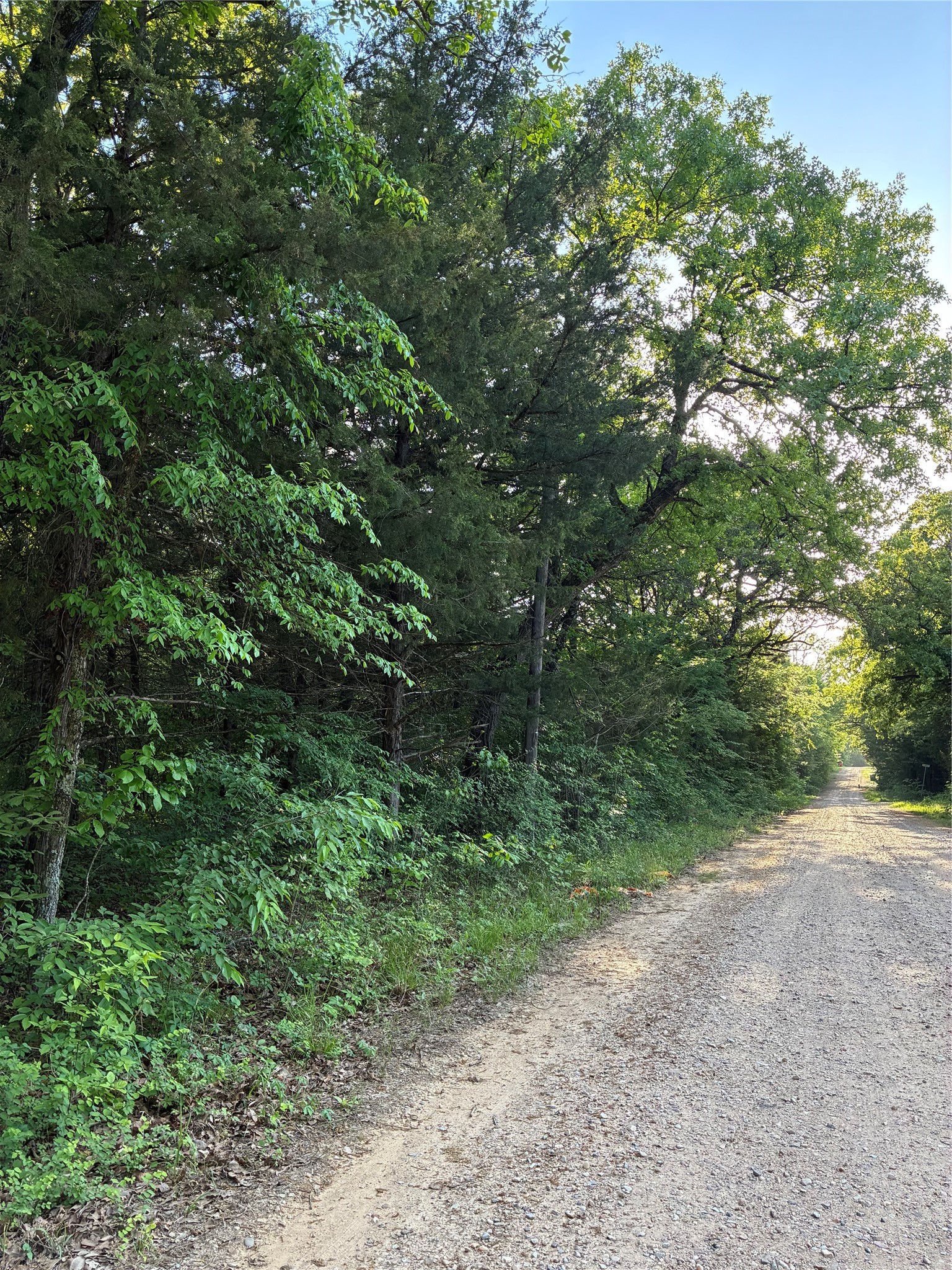 2900 Mc Burnett Drive Honey Grove TX 75446