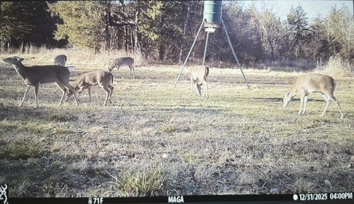9891 Farm Road 906 Powderly TX 75473