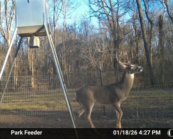 9891 Farm Road 906 Powderly TX 75473