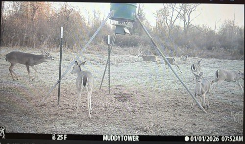 9891 Farm Road 906 Powderly TX 75473