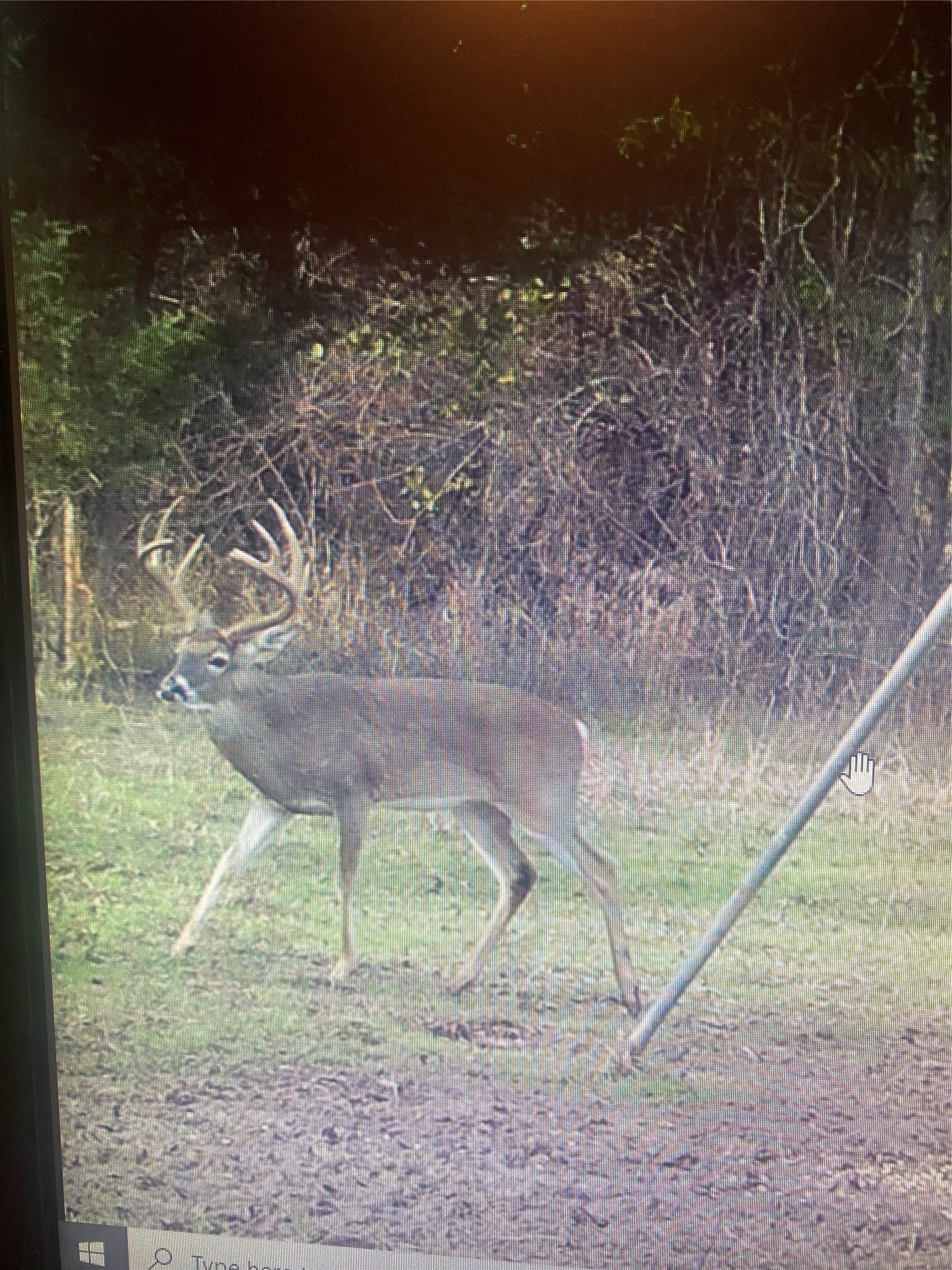 9891 Farm Road 906 Powderly TX 75473