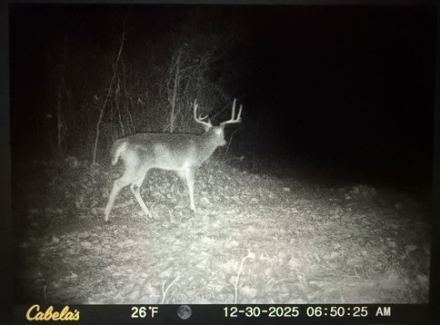 9891 Farm Road 906 Powderly TX 75473