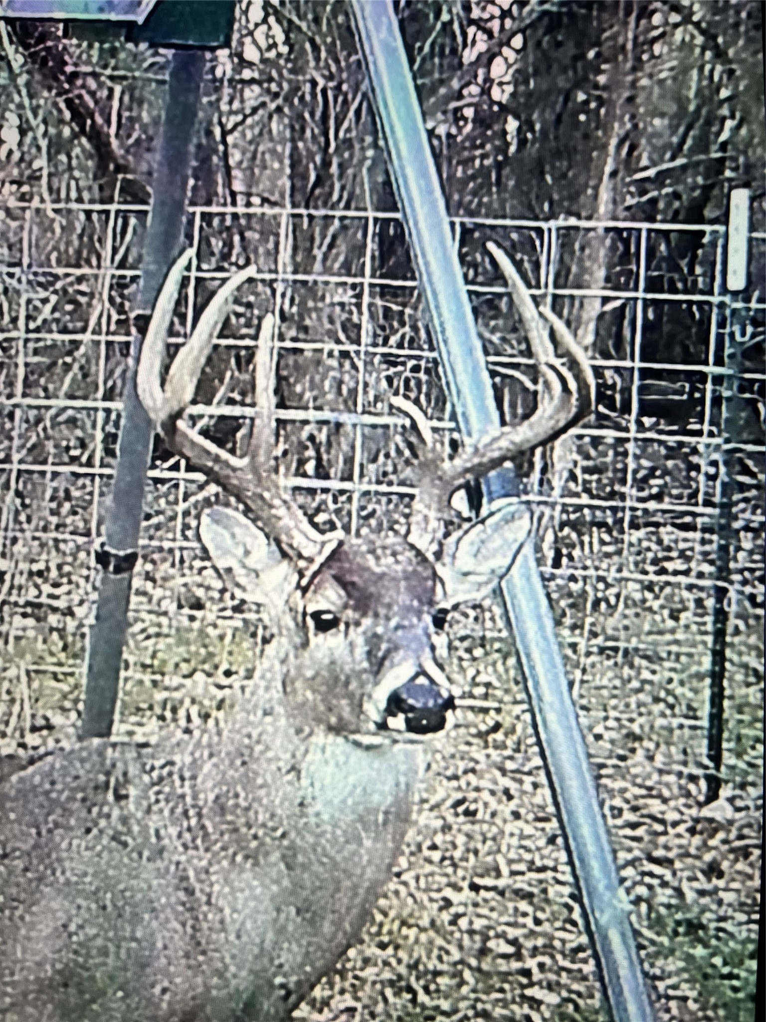 9891 Farm Road 906 Powderly TX 75473
