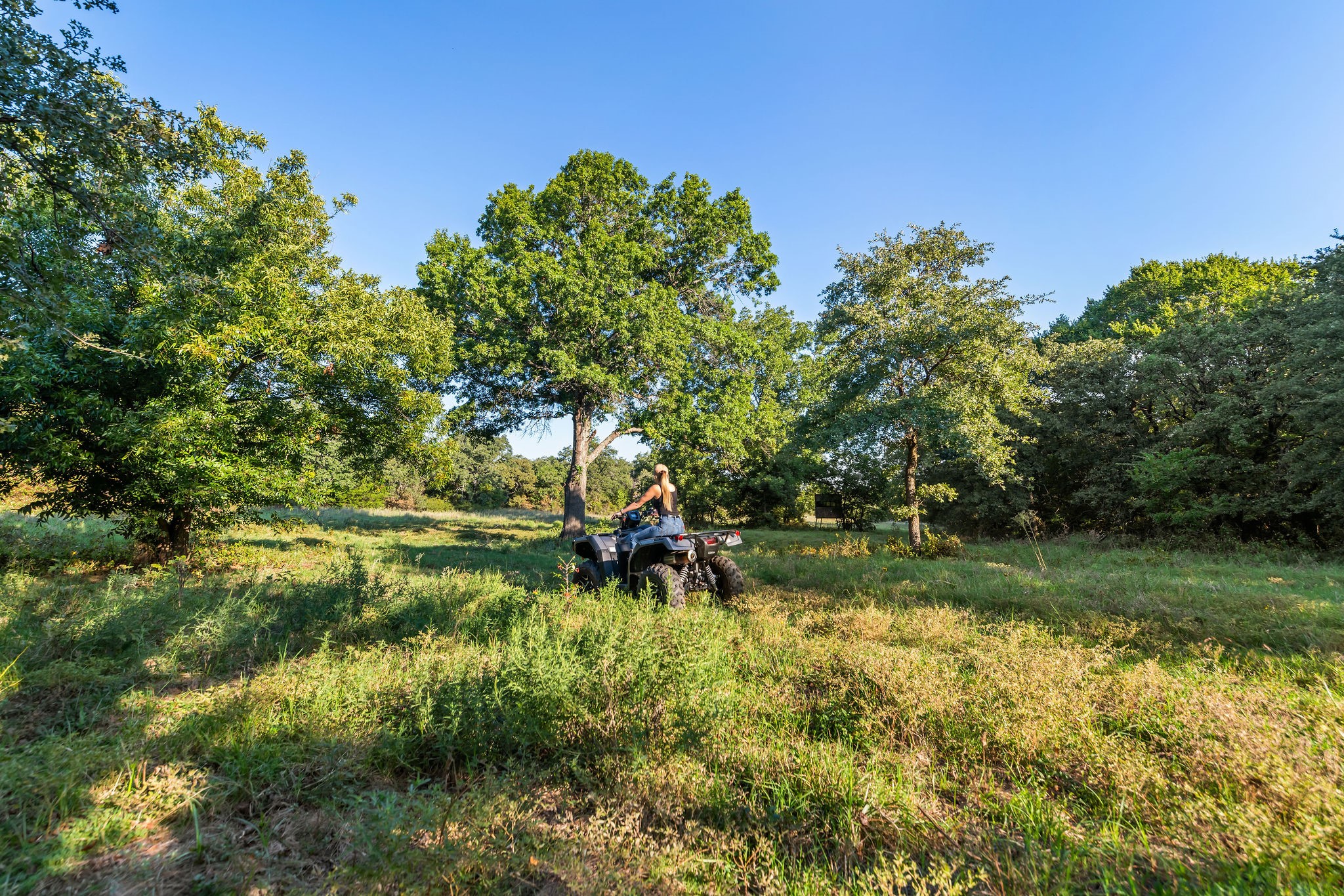 3773 Cottonwood Creek Road St Jo TX 76265