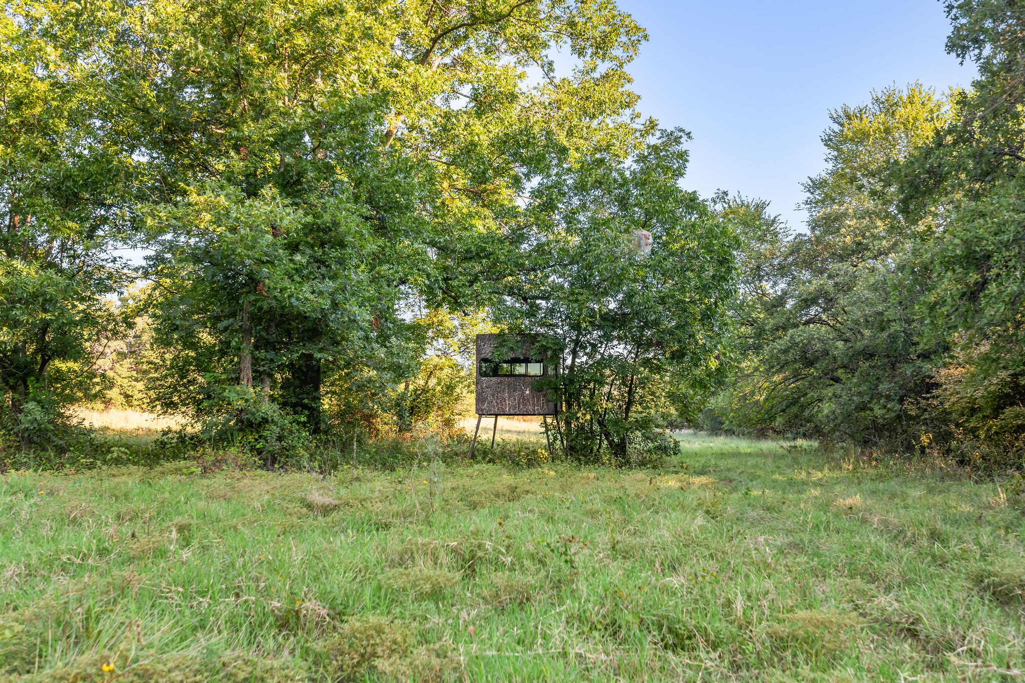 3773 Cottonwood Creek Road St Jo TX 76265