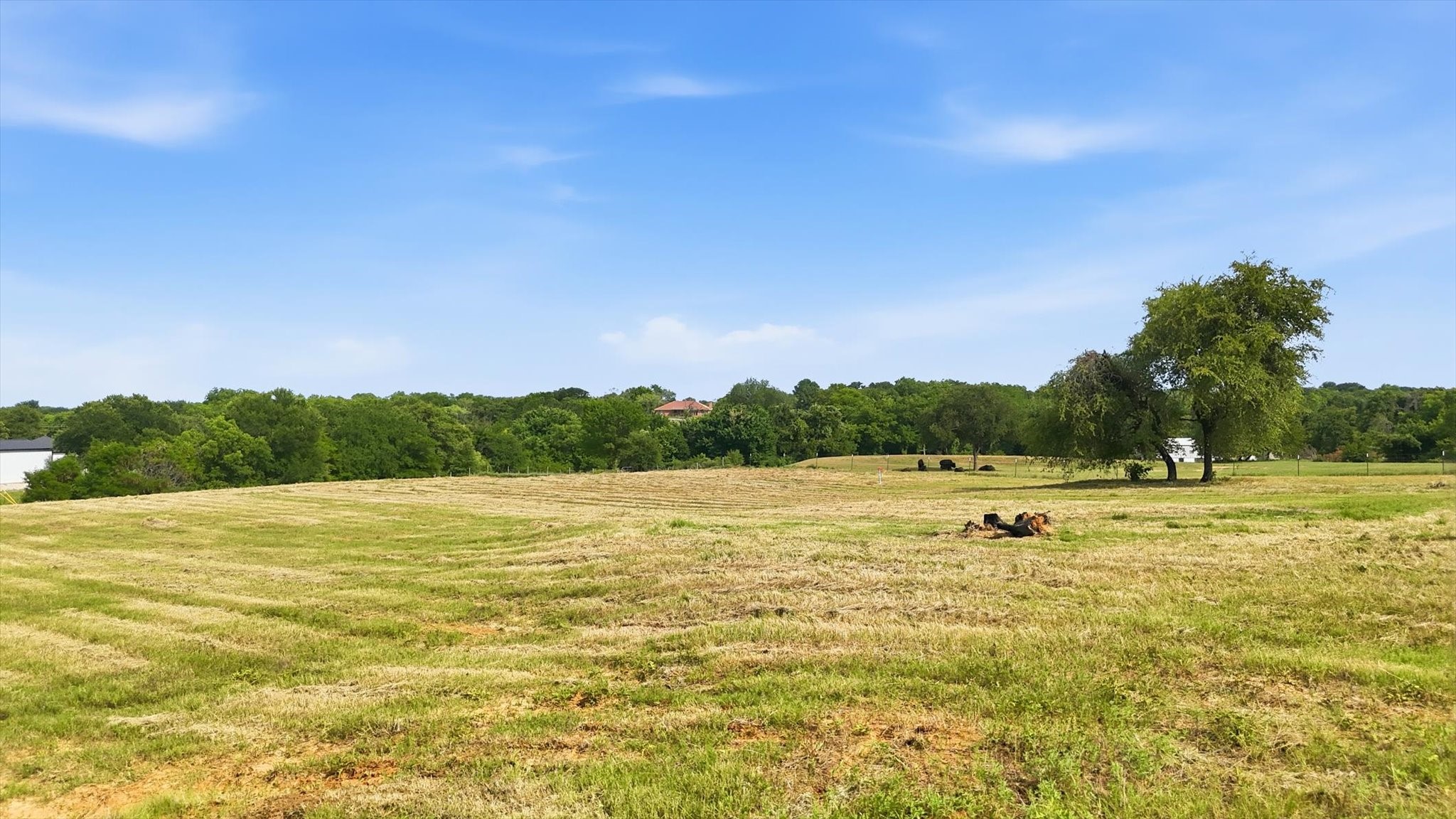 579 County Road 4599 Boyd TX 76023