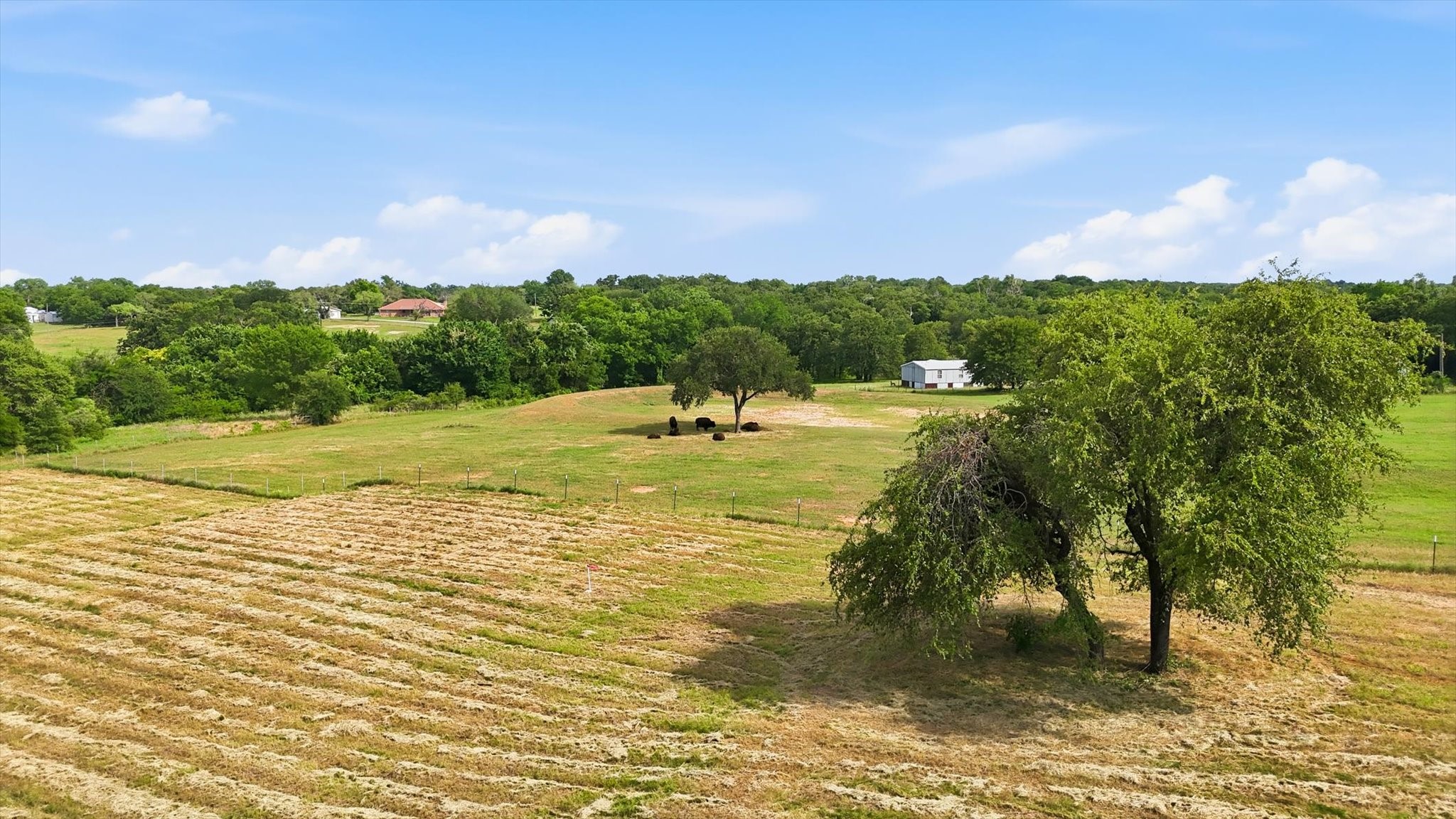 579 County Road 4599 Boyd TX 76023