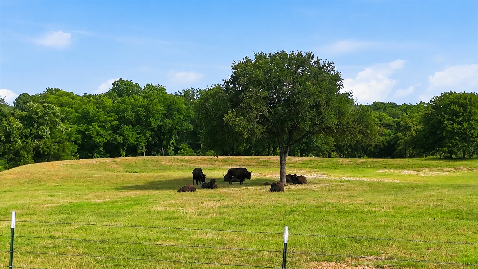 579 County Road 4599 Boyd TX 76023