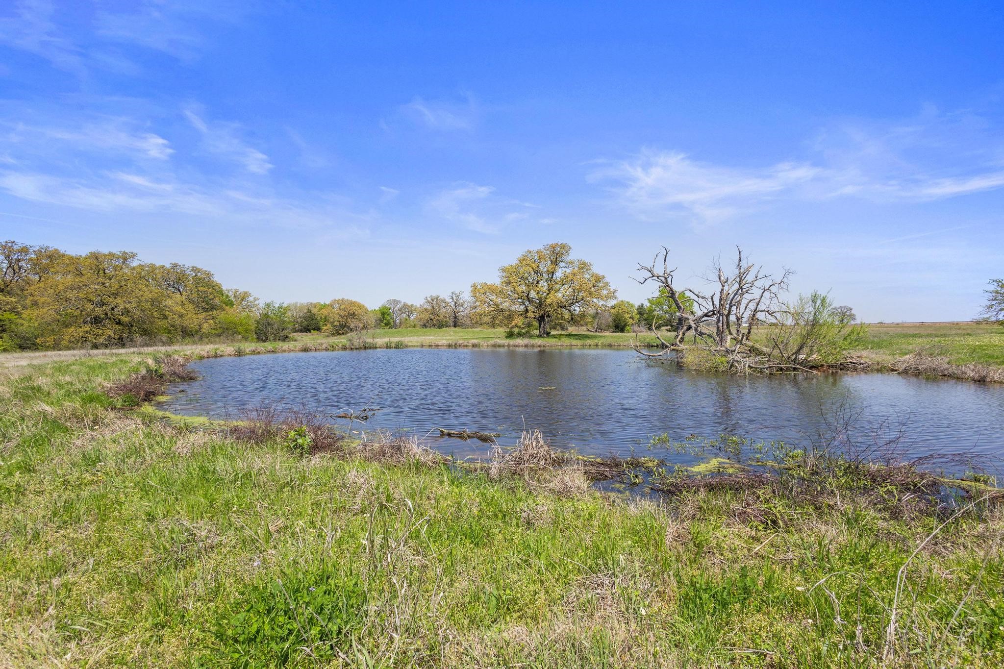 Tbd Hog Town Road Collinsville TX 76233