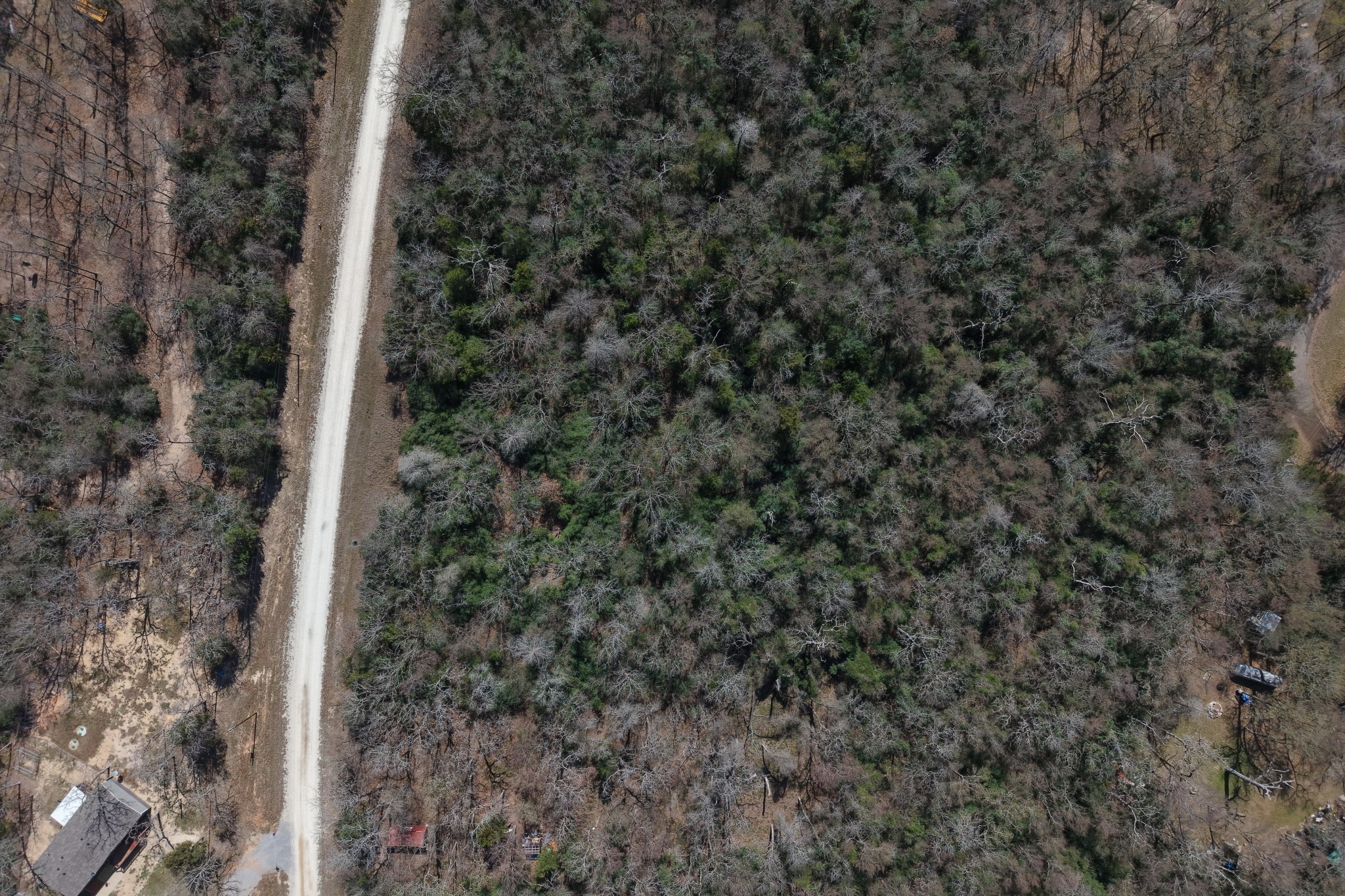 Lot 013 County Road 900 Jewett TX 75846