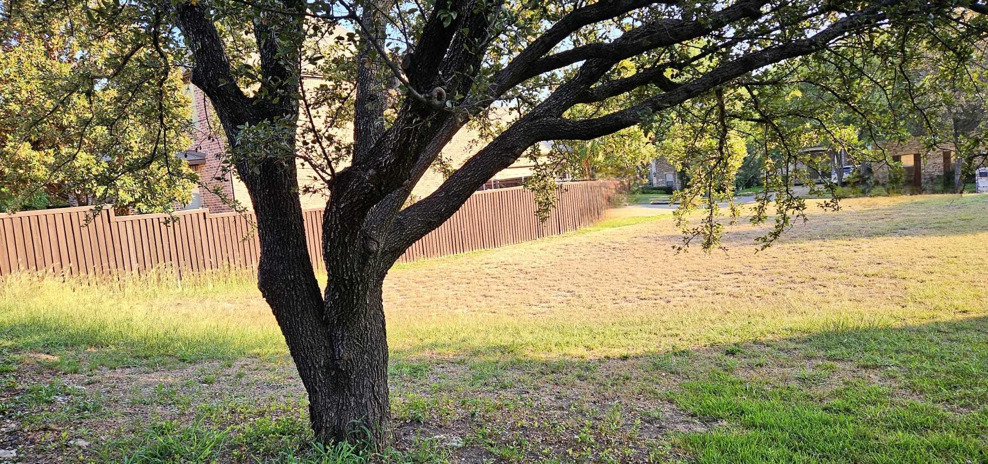 1200 Winding Brook Drive Garland TX 75044