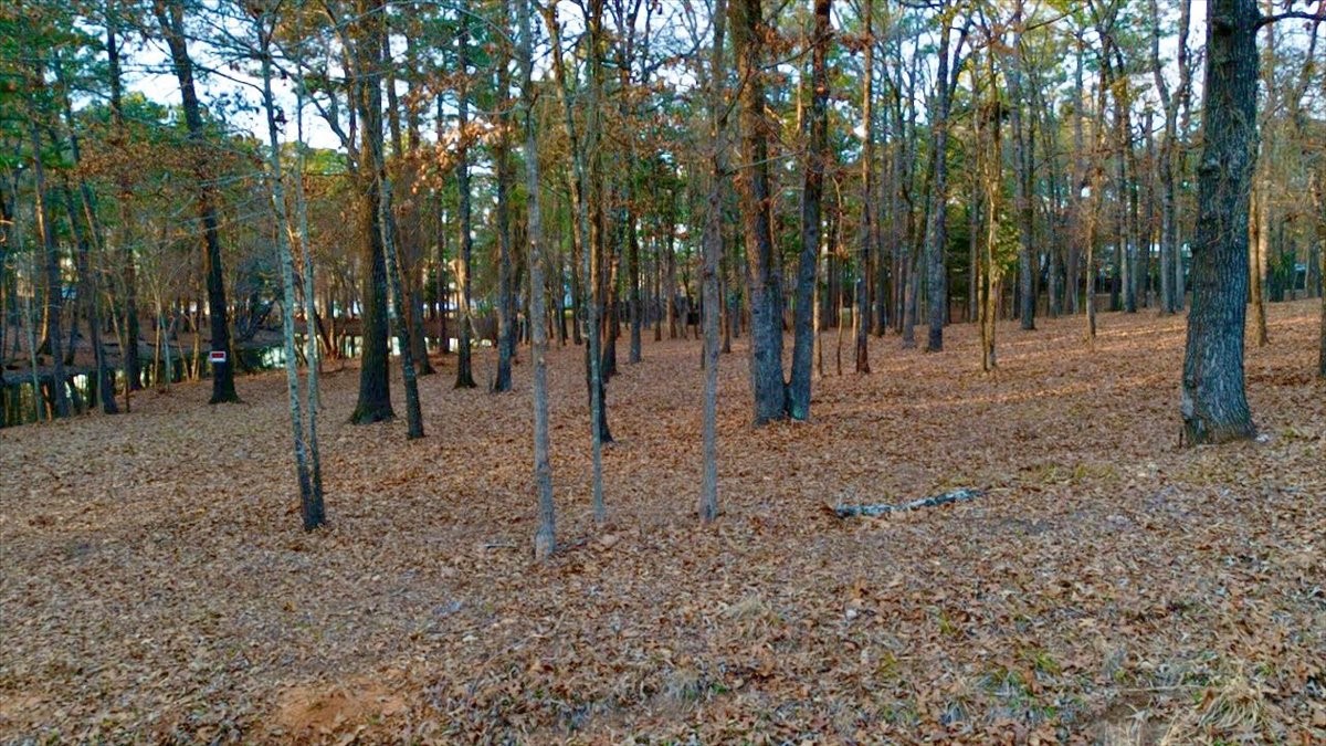 Tbd Hickory Trail Flint TX 75762
