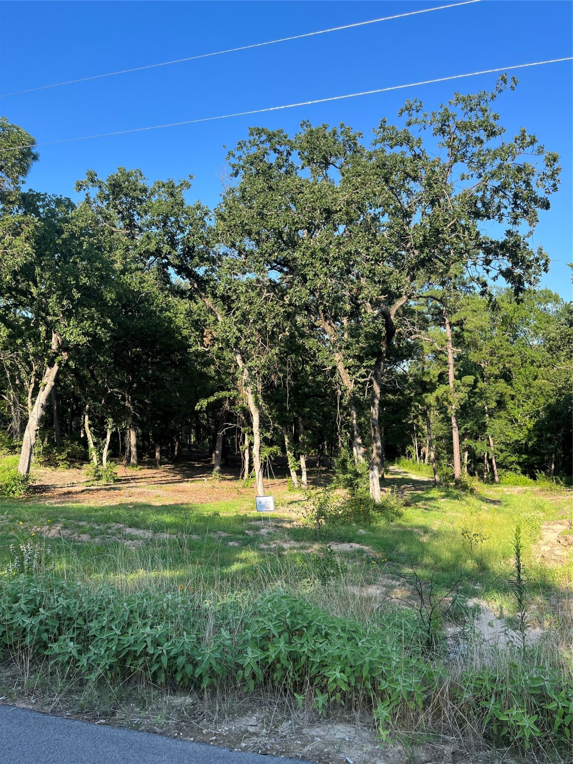 3242 Shadow Pine Drive Larue TX 75770