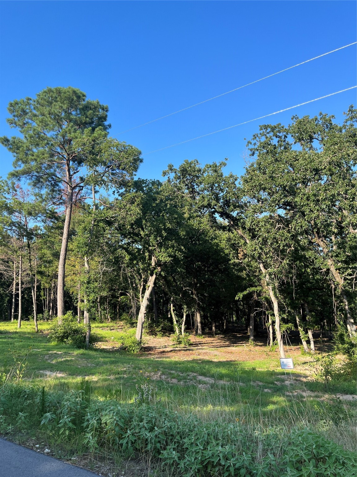 3242 Shadow Pine Drive Larue TX 75770