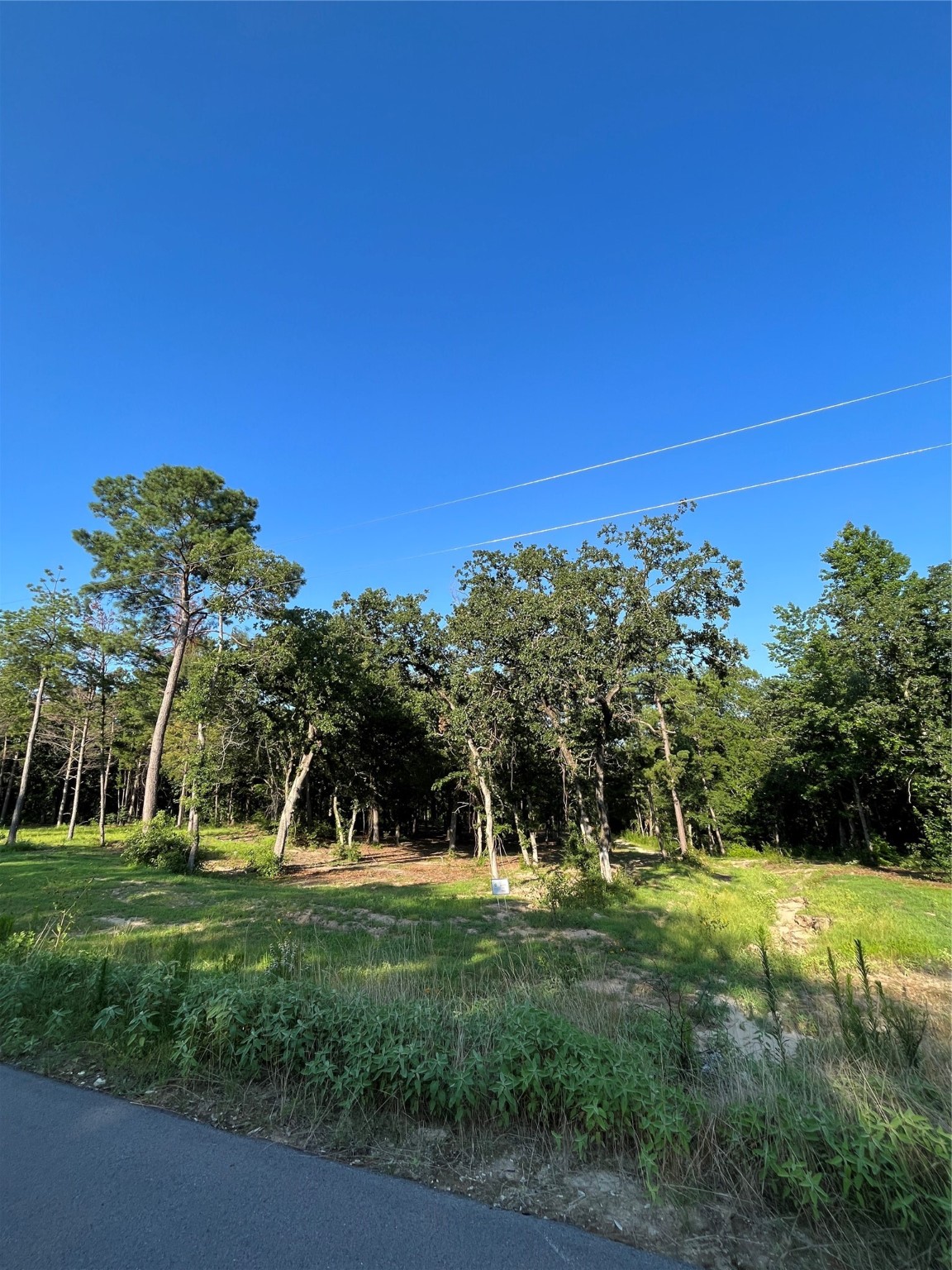 3242 Shadow Pine Drive Larue TX 75770