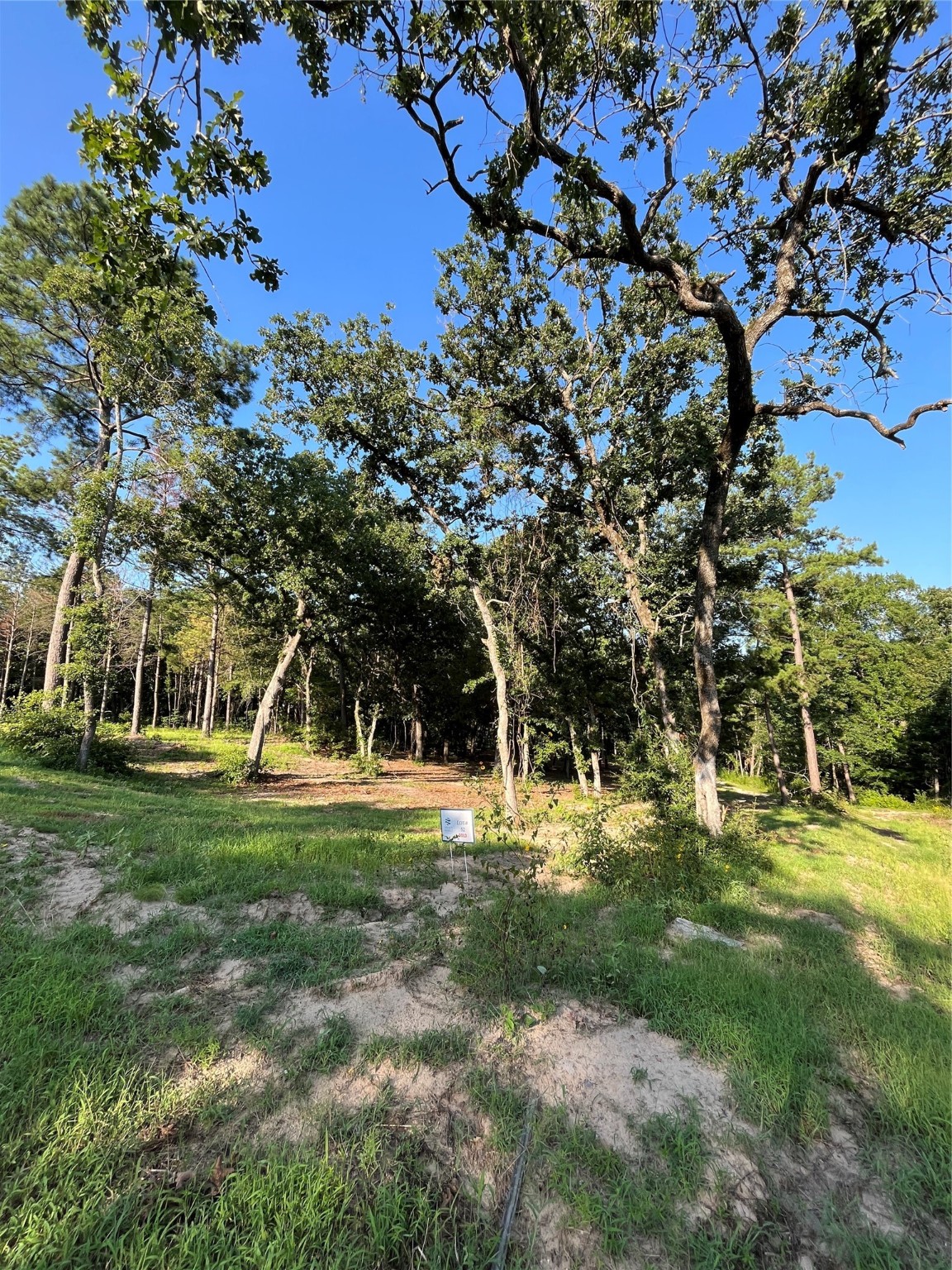 3242 Shadow Pine Drive Larue TX 75770