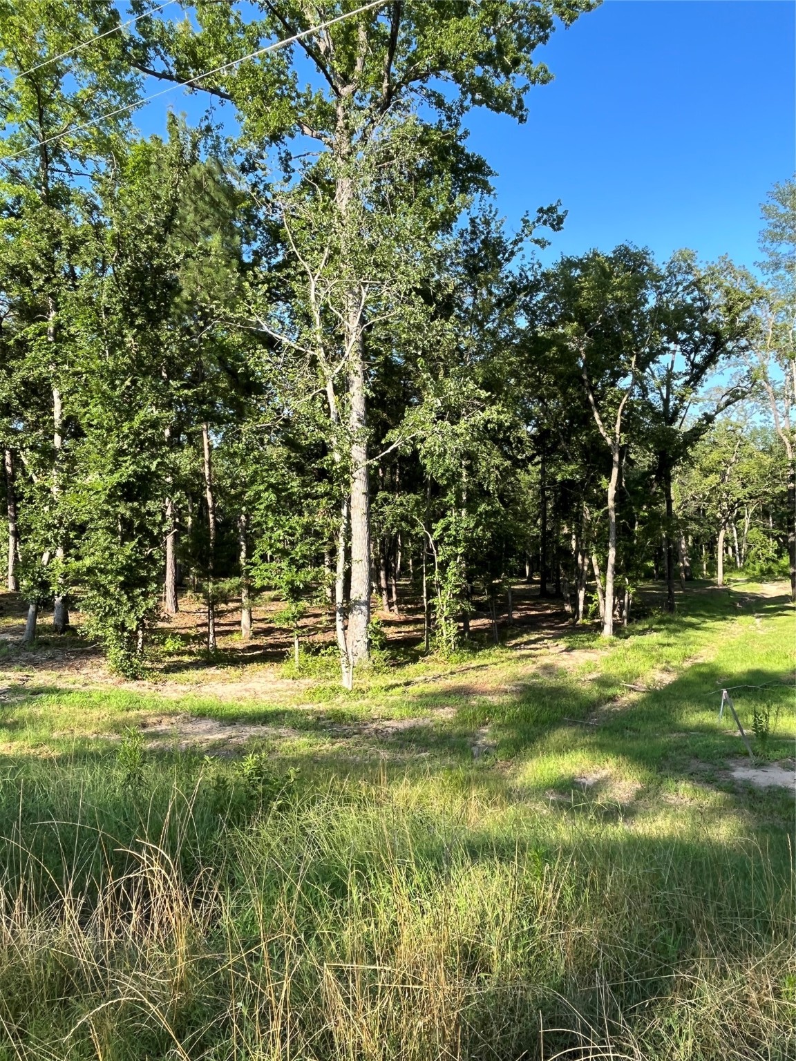 3242 Shadow Pine Drive Larue TX 75770