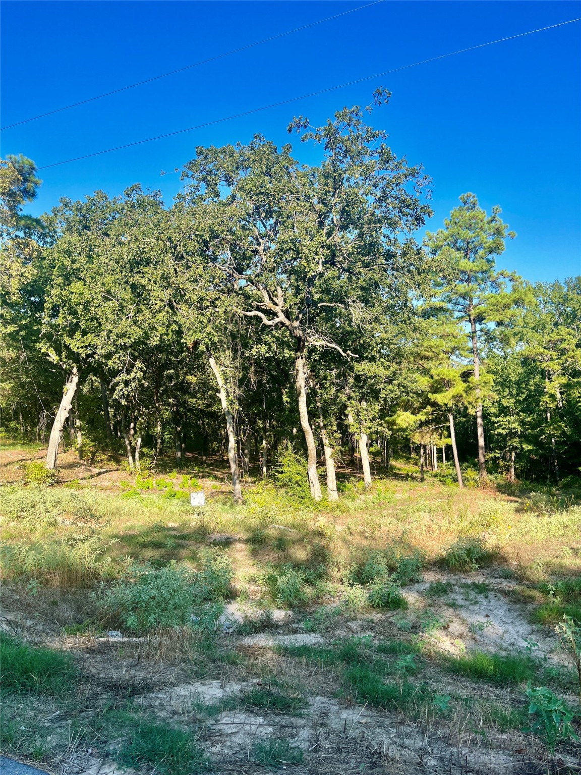 3242 Shadow Pine Drive Larue TX 75770