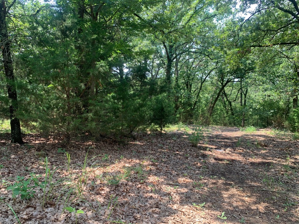 2335 County Road 2320 Terrell TX 75160