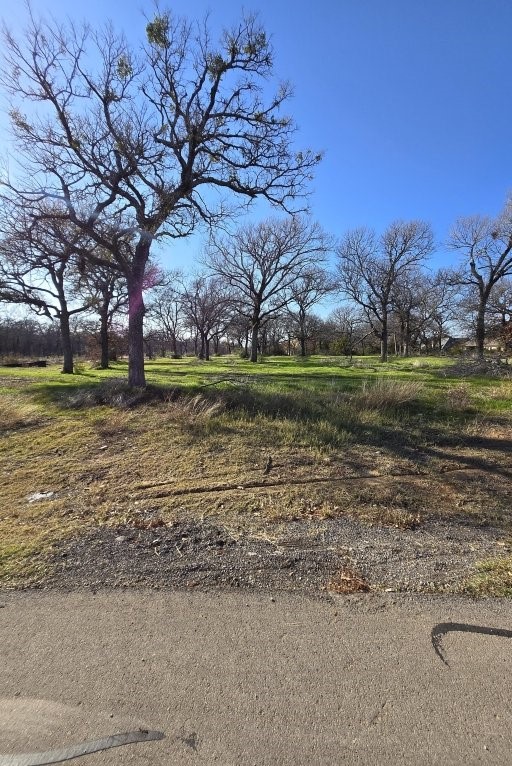 322 Arbor Cove Lane Oak Point TX 75068