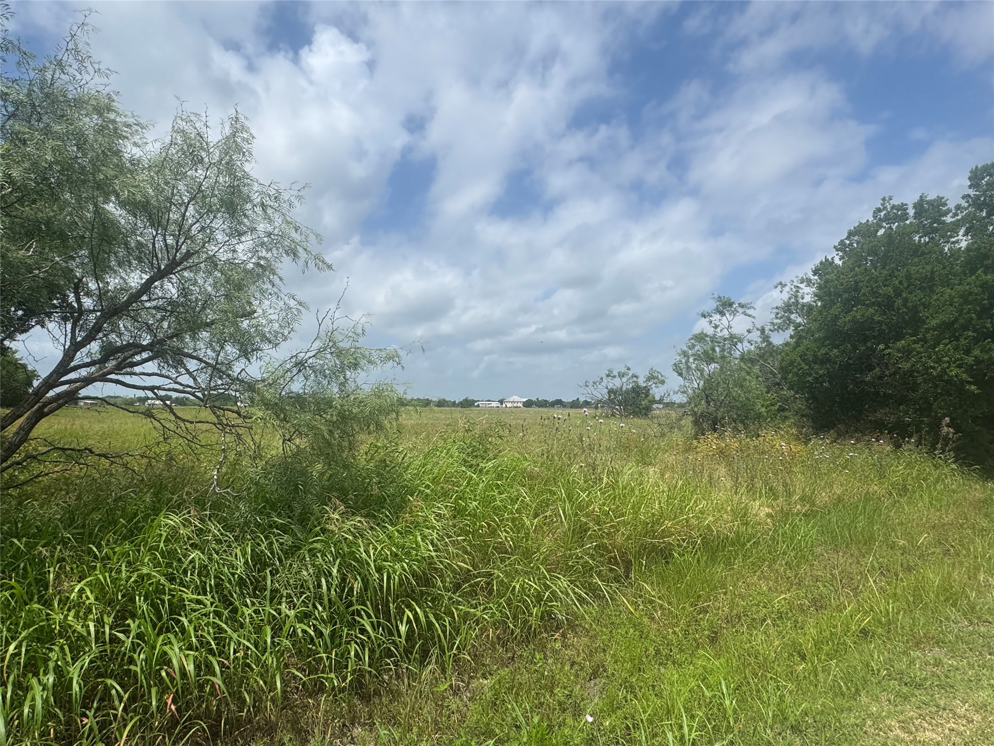 5479 E Highway 175 Kaufman TX 75142