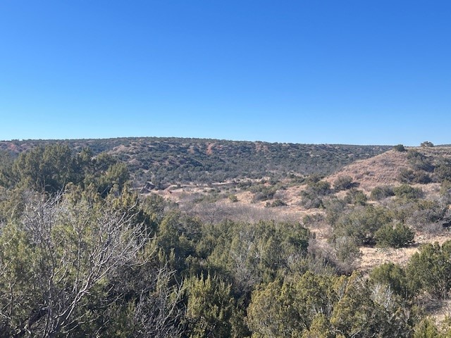 99999 Highway 70 Turkey TX 79261