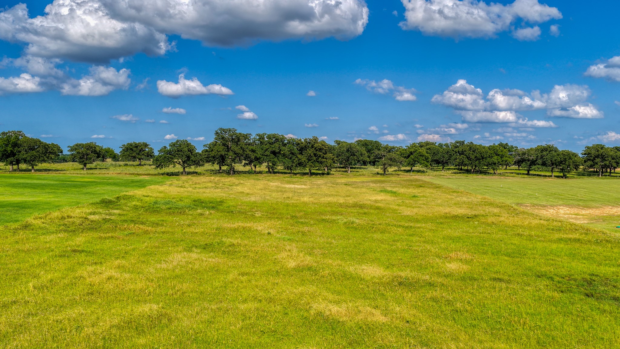 2013 Swallowtail Court Poolville TX 76487
