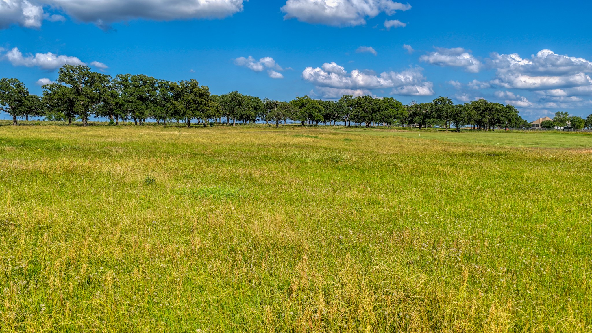 2013 Swallowtail Court Poolville TX 76487